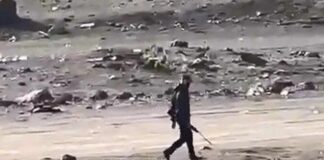 Yemek için vurmuşlar! Sazlıdere’de göç yolundaki leylekleri vurdular!