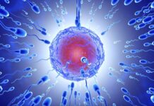 FARKLI BABALARDAN İKİZ KARDEŞLER? MEĞER MÜMKÜNMÜŞ.