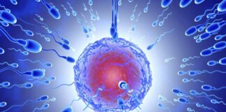 FARKLI BABALARDAN İKİZ KARDEŞLER? MEĞER MÜMKÜNMÜŞ.