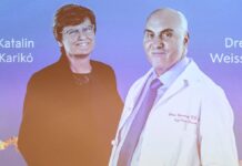 2023 Nobel Tıp Ödülü’nün sahipleri belli oldu