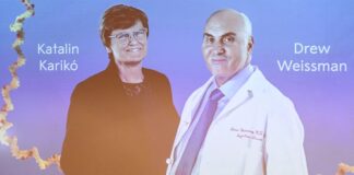 2023 Nobel Tıp Ödülü’nün sahipleri belli oldu