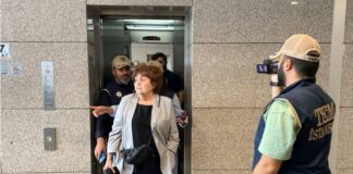 Gazeteci Ayşenur Arslan serbest bırakıldı