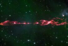 “BEBEK” AMA 50 BİN YAŞINDA