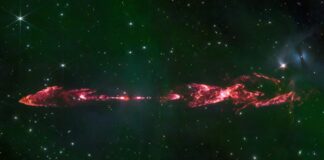 “BEBEK” AMA 50 BİN YAŞINDA