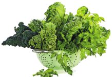 SAĞLIK İÇİN 8 “SÜPER” YAPRAK