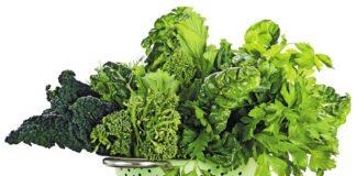 SAĞLIK İÇİN 8 “SÜPER” YAPRAK