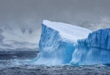 Dünyanın en büyük buzdağı, 30 yılı aşkın süredir okyanus tabanına sıkışıp kaldıktan sonra hareket etti.