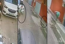 📽️Bu nasıl insan? Sokak kedisine keserle saldırdı!