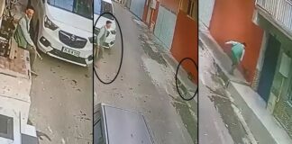 📽️Bu nasıl insan? Sokak kedisine keserle saldırdı!