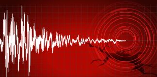 10 SANİYE 10 SANİYEDİR. GOOGLE ANDROID, GEMLİK DEPREMİNİ ÖNCEDEN BİLDİRDİ