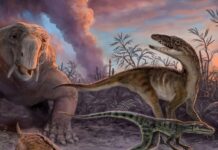 AH ŞU DİNOZORLAR! DAHA AZ YAŞAMAMIZ ONLARIN YÜZÜNDEN OLABİLİR