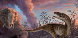 AH ŞU DİNOZORLAR! DAHA AZ YAŞAMAMIZ ONLARIN YÜZÜNDEN OLABİLİR