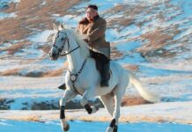 KUZEY KORE LİDERİ KİM JONG UN HAKKINDA BİLİNMEYEN 5 ŞEY