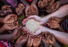 2023’TE DÜNYADA GIDA FİYATLARI DÜŞTÜ; TÜRKİYE AYRIŞTI