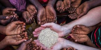 2023’TE DÜNYADA GIDA FİYATLARI DÜŞTÜ; TÜRKİYE AYRIŞTI