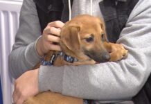 YENİ YILIN HER BAKIMDAN SOĞUK İLK GÜNLERİNDE İNSANIN İÇİNİ ISITAN BİR HABER