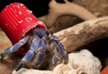 ONLAR DA GECEKONDUDA YAŞAMAYA BAŞLADI