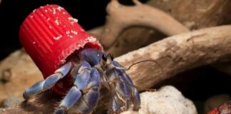 ONLAR DA GECEKONDUDA YAŞAMAYA BAŞLADI