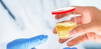 Sonunda çişin neden sarı olduğunu biliyoruz!