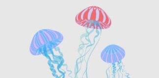 BİLİM: YAŞLANMA KARŞITI TEDAVİLER ÖNÜMÜZDEKİ ON YILDA MÜMKÜN OLABİLECEK .