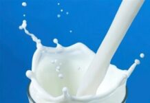 SÜT FİYATINA BÜYÜK ZAM