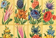 İyileştirici özelliklere sahip 6 çiçek