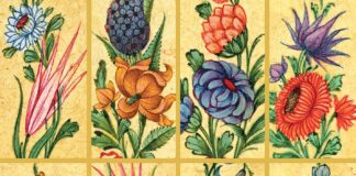 İyileştirici özelliklere sahip 6 çiçek