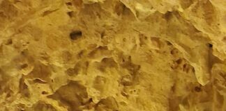 Gezgin, Serap Göke: Otostopla 8 yılda 72 ülke gezdi