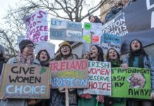 BU DEVİRDE AB ÜYESİ ÜLKEDE İNANILMASI GÜÇ ANAYASA MADDESİ