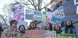 BU DEVİRDE AB ÜYESİ ÜLKEDE İNANILMASI GÜÇ ANAYASA MADDESİ