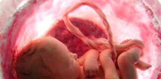 BEBEKLER DAHA ANNE KARNINDAYKEN MİKROPLASTİK ALIYOR