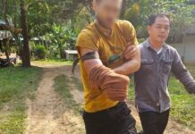 Tayland’da bir adam ayıdan kurtulmak için kolunu kesti