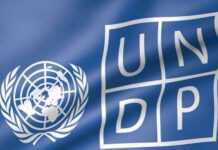 Birleşmiş Milletler Kalkınma Programı (UNDP) depremden etki̇lenen bölgelere destek gi̇ri̇şi̇mleri̇ başlattı