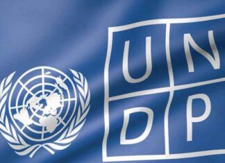 Birleşmiş Milletler Kalkınma Programı (UNDP) depremden etki̇lenen bölgelere destek gi̇ri̇şi̇mleri̇ başlattı