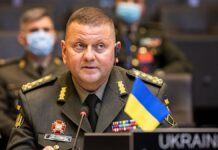 Ukrayna Genelkurmay Başkanı görevden alındı