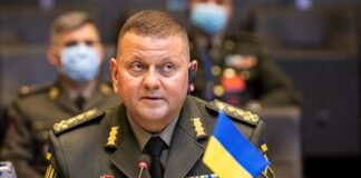 Ukrayna Genelkurmay Başkanı görevden alındı