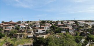 5 bin ağaç kesildikten sonra İzmir Karaburun Yaylaköyü’nde GES için yürütmeyi durdurma kararı verildi