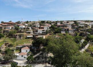 5 bin ağaç kesildikten sonra İzmir Karaburun Yaylaköyü’nde GES için yürütmeyi durdurma kararı verildi