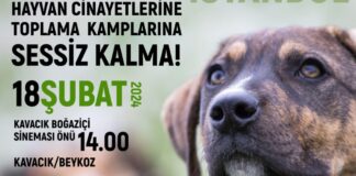 Sokak hayvanlar için İstanbul Beykoz’da yarın eylem yapılacak.