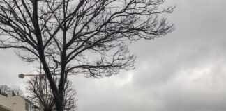 Sarıyer, Beykoz, Çatalca, Arnavutköy, Eyüpsultan, Şile… Dikkatli olun!