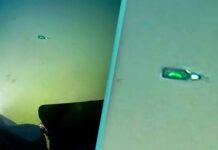 📽️Dünyanın en derin çukurunda bira şişesi bulundu: Buraya düşen tek kişinin Türk olduğu ortaya çıktı