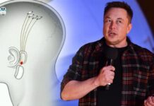 Elon Musk, beyin çipi nakledilen ilk insan /hastanın, bir bilgisayar faresini “sadece düşünerek” kontrol edebildiğini söyledi.