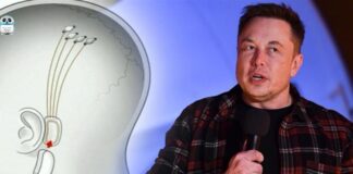 Elon Musk, beyin çipi nakledilen ilk insan /hastanın, bir bilgisayar faresini “sadece düşünerek” kontrol edebildiğini söyledi.