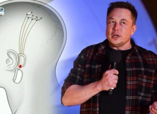 Elon Musk, beyin çipi nakledilen ilk insan /hastanın, bir bilgisayar faresini “sadece düşünerek” kontrol edebildiğini söyledi.