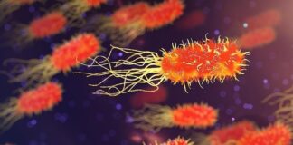 Antibiyotiklere dirençli bakterilere karşı etkili bir ilaç geliştirildi.