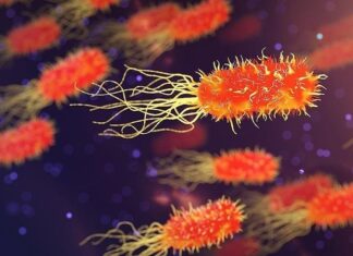 Antibiyotiklere dirençli bakterilere karşı etkili bir ilaç geliştirildi.