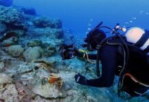 Ege Denizi’nde 5 bin yıllık gemi enkazları bulundu