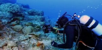 Ege Denizi’nde 5 bin yıllık gemi enkazları bulundu