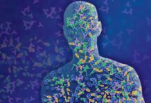 YAŞLILIKTA ZİHİN SAĞLIĞININ BAĞIRSAKTAKİ YAKITI: A CELATUS BAKTERİSİ