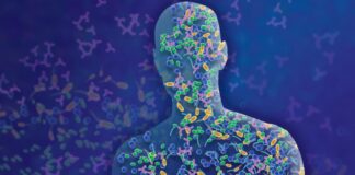 YAŞLILIKTA ZİHİN SAĞLIĞININ BAĞIRSAKTAKİ YAKITI: A CELATUS BAKTERİSİ